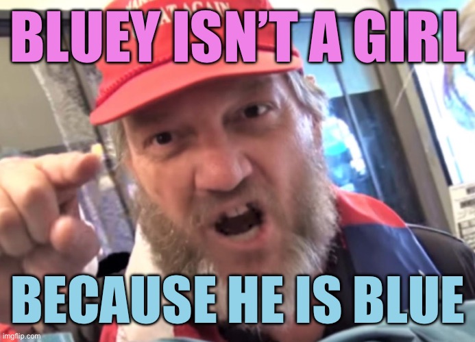Angry Trumper MAGA White Supremacist | BLUEY ISN’T A GIRL; BECAUSE HE IS BLUE | image tagged in angry trumper maga white supremacist | made w/ Imgflip meme maker