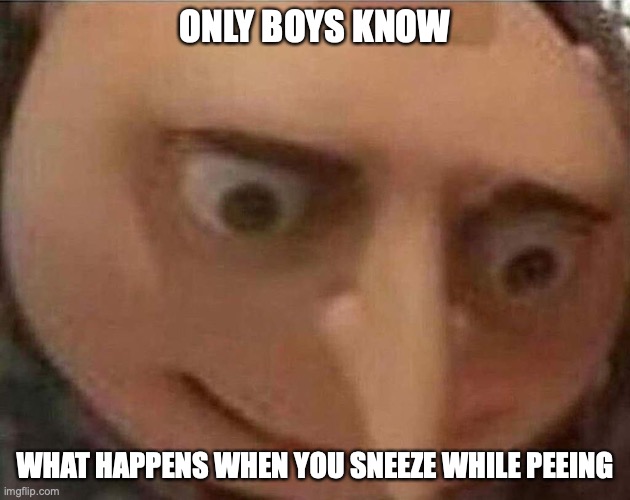 for boys only | ONLY BOYS KNOW; WHAT HAPPENS WHEN YOU SNEEZE WHILE PEEING | image tagged in gru meme | made w/ Imgflip meme maker