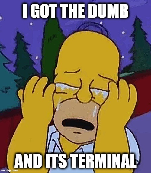 cry | I GOT THE DUMB; AND ITS TERMINAL | image tagged in memes,funny memes,meme | made w/ Imgflip meme maker