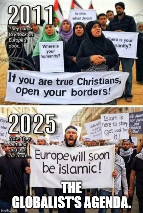 The Globalist's Agenda | THE GLOBALIST'S AGENDA. | image tagged in the globalist's agenda | made w/ Imgflip meme maker