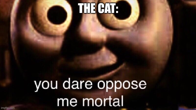 You dare oppose me mortal | THE CAT: | image tagged in you dare oppose me mortal | made w/ Imgflip meme maker