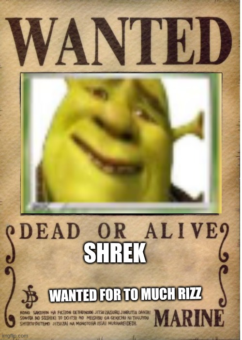 One piece wanted poster template | SHREK; WANTED FOR TO MUCH RIZZ | image tagged in one piece wanted poster template | made w/ Imgflip meme maker