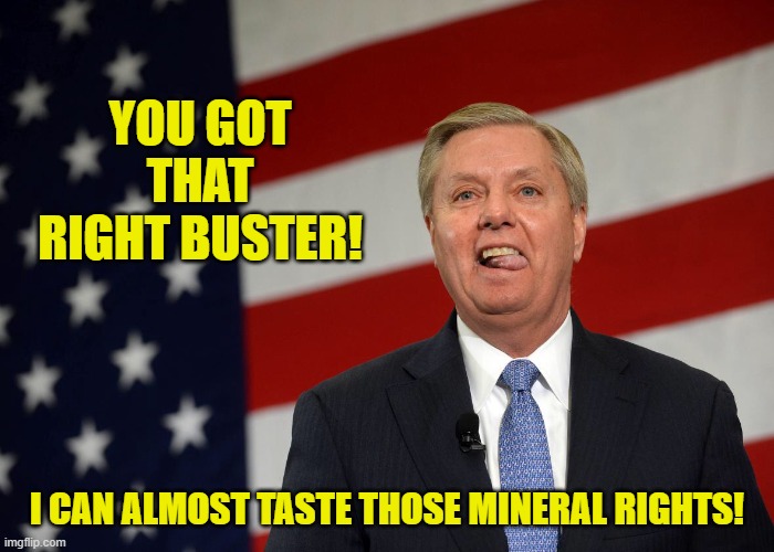 Lyndsy graham  | YOU GOT THAT RIGHT BUSTER! I CAN ALMOST TASTE THOSE MINERAL RIGHTS! | image tagged in lyndsy graham | made w/ Imgflip meme maker