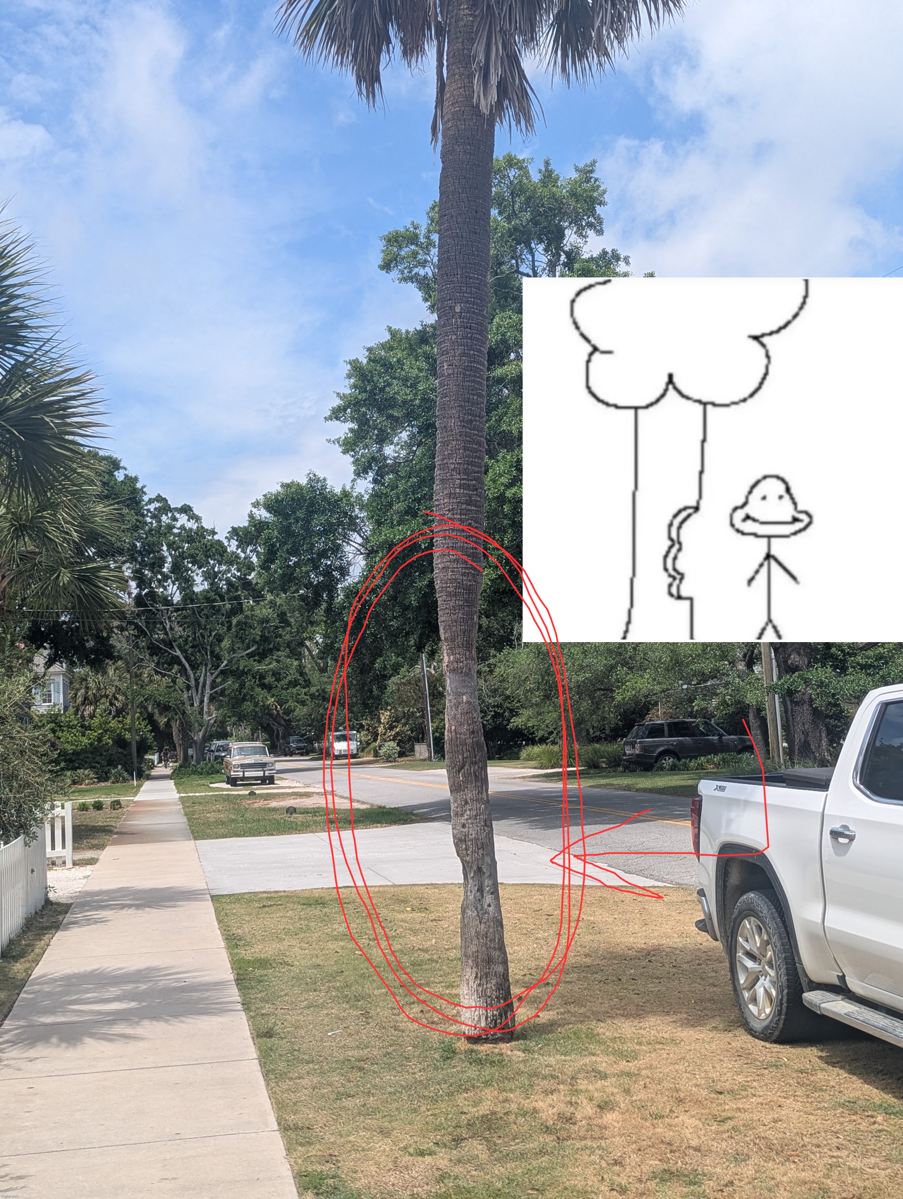 this tree bruh | made w/ Imgflip meme maker