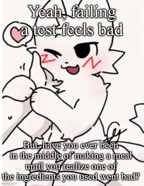 Yeah, failing a test feels bad; But, have you ever been in the middle of making a meal until you realize one of the ingredients you used went bad? | made w/ Imgflip meme maker