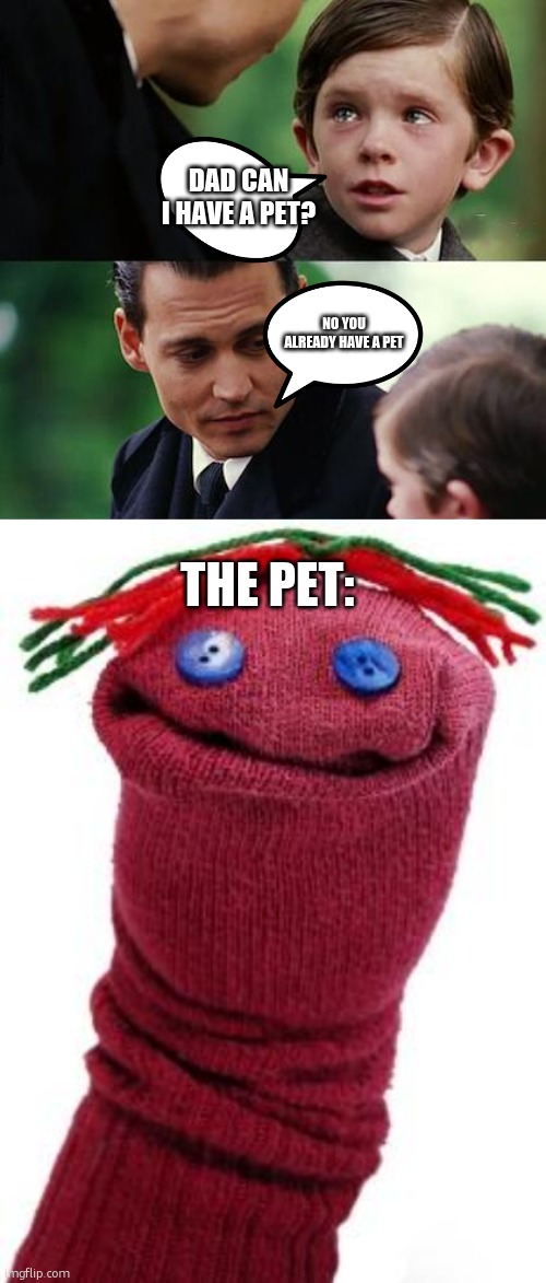DAD CAN I HAVE A PET? NO YOU ALREADY HAVE A PET; THE PET: | image tagged in memes,finding neverland,sock puppet | made w/ Imgflip meme maker