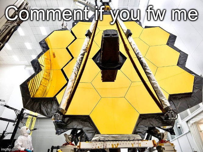 Hive mind | Comment if you fw me | image tagged in hive mind | made w/ Imgflip meme maker