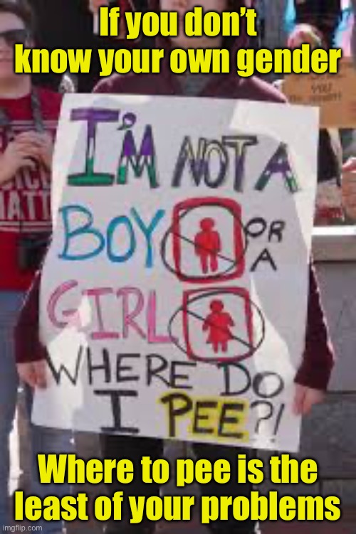 Transgender restroom protest | If you don’t know your own gender; Where to pee is the least of your problems | image tagged in transgender restroom protest | made w/ Imgflip meme maker