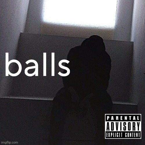 I enjoy turning things into albums called balls | made w/ Imgflip meme maker