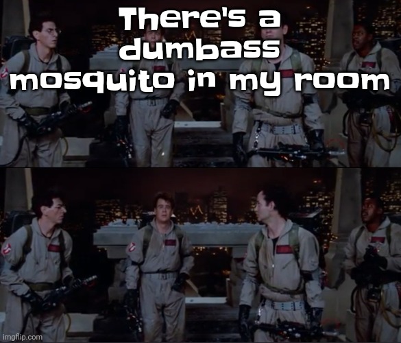 It looks like it already drank my blood so should I give it the gusher treatment | There's a dumbass mosquito in my room | image tagged in bro | made w/ Imgflip meme maker