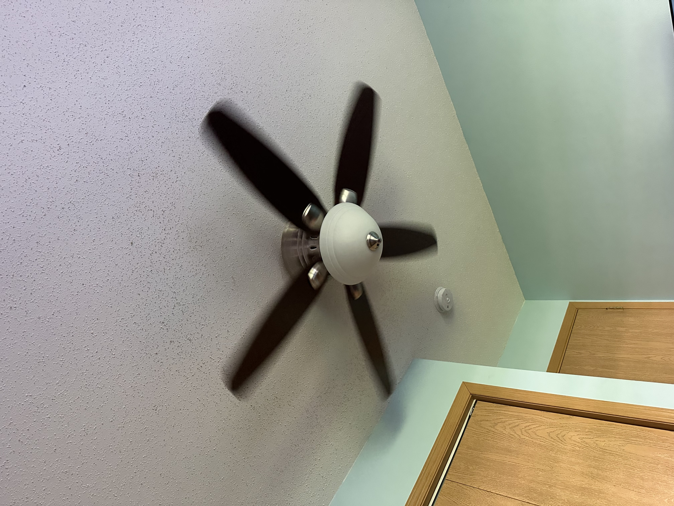 The Fan Blank Meme Template