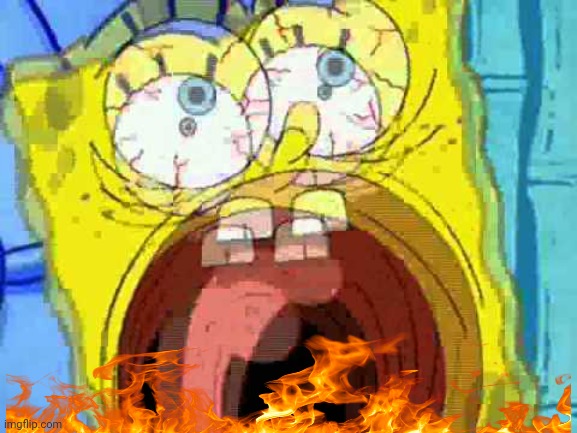Spongebob Screaming | image tagged in spongebob screaming | made w/ Imgflip meme maker