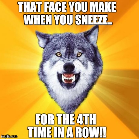 Courage Wolf | THAT FACE YOU MAKE WHEN YOU SNEEZE.. FOR THE 4TH TIME IN A ROW!! | image tagged in memes,courage wolf | made w/ Imgflip meme maker