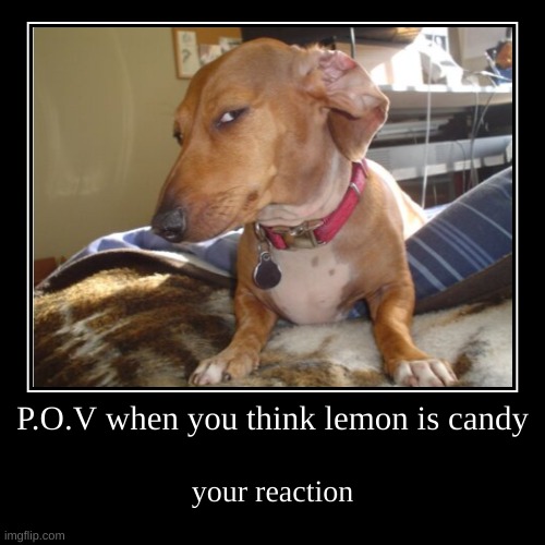 P.O.V when you think lemon is candy | your reaction | image tagged in funny,demotivationals | made w/ Imgflip demotivational maker