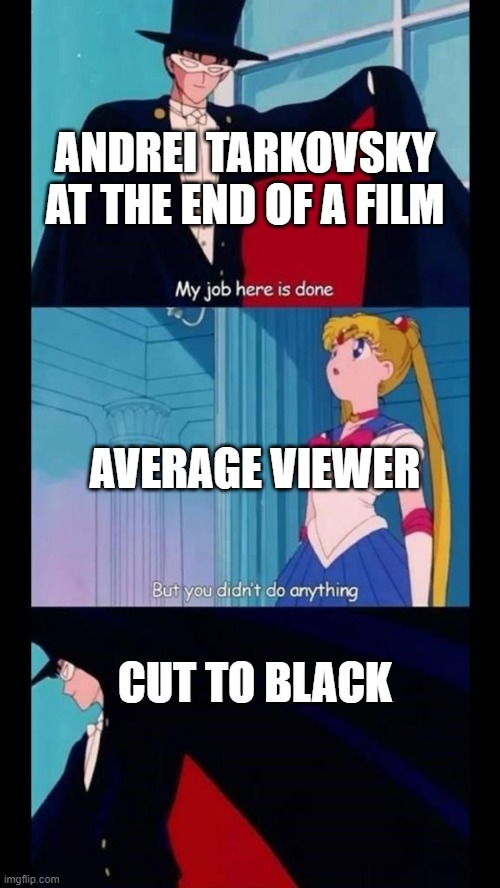 Andrei Tarkovsky - You didn't do anything | ANDREI TARKOVSKY AT THE END OF A FILM; AVERAGE VIEWER; CUT TO BLACK | image tagged in you didn't do anything,tarkovsky,stalker,sacrifice | made w/ Imgflip meme maker
