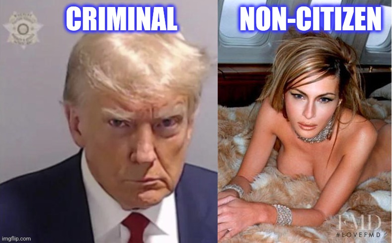 CRIMINAL            NON-CITIZEN | made w/ Imgflip meme maker
