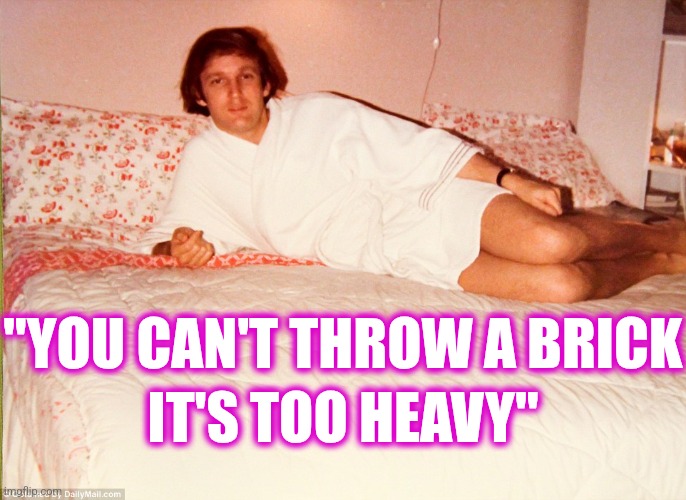 Weak men | IT'S TOO HEAVY" "YOU CAN'T THROW A BRICK | image tagged in weak men | made w/ Imgflip meme maker
