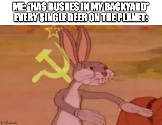 Bugs bunny communist | ME: *HAS BUSHES IN MY BACKYARD*
EVERY SINGLE DEER ON THE PLANET: | image tagged in bugs bunny communist | made w/ Imgflip meme maker