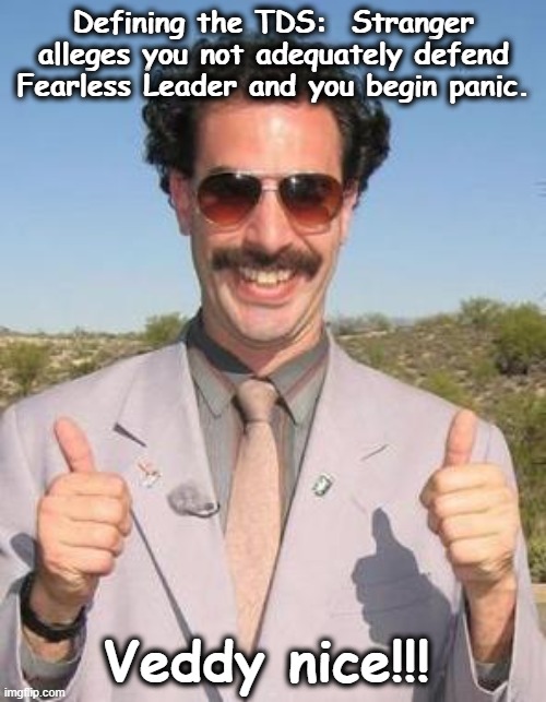 Very nice | Defining the TDS:  Stranger alleges you not adequately defend Fearless Leader and you begin panic. Veddy nice!!! | image tagged in very nice | made w/ Imgflip meme maker