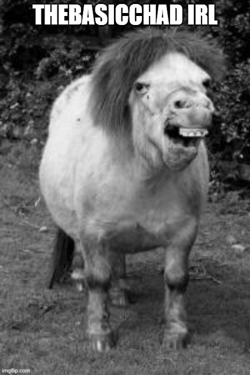That user is annoying and he pmo | THEBASICCHAD IRL | image tagged in ugly horse | made w/ Imgflip meme maker