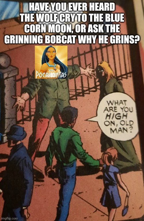 Pocahontas | HAVE YOU EVER HEARD THE WOLF CRY TO THE BLUE CORN MOON, OR ASK THE GRINNING BOBCAT WHY HE GRINS? | image tagged in what are you high on old man | made w/ Imgflip meme maker