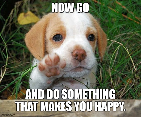 dog puppy bye | NOW GO AND DO SOMETHING THAT MAKES YOU HAPPY. | image tagged in dog puppy bye | made w/ Imgflip meme maker