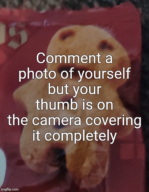 Cookie | Comment a photo of yourself but your thumb is on the camera covering it completely | image tagged in cookie | made w/ Imgflip meme maker