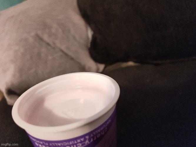 The dent at the bottom of this yogurt cup does not need to be this deep istg | made w/ Imgflip meme maker