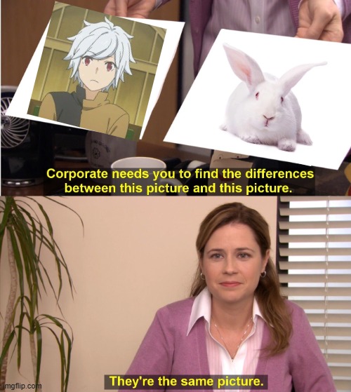 Bell Cranel Bunny | image tagged in memes,they're the same picture | made w/ Imgflip meme maker
