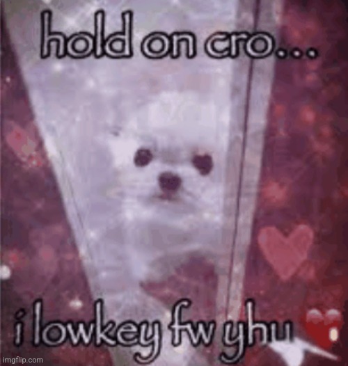 Hold on cro I lowkey fw yhu | image tagged in hold on cro i lowkey fw yhu | made w/ Imgflip meme maker