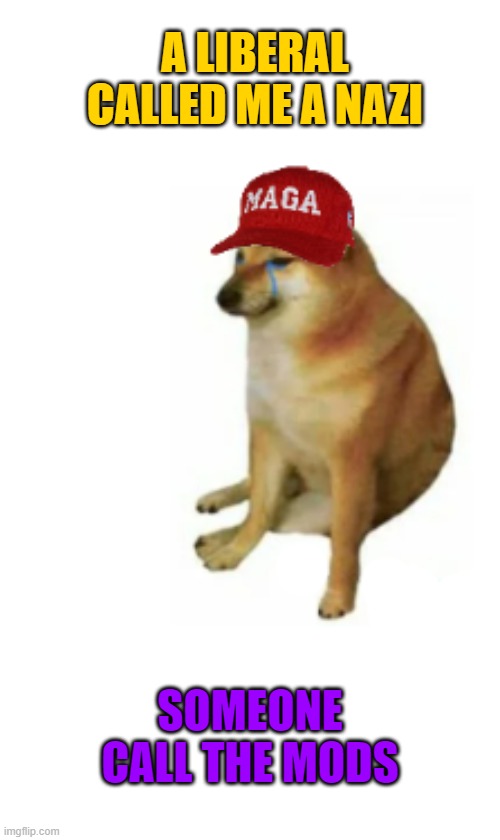Everyday All day | A LIBERAL CALLED ME A NAZI; SOMEONE CALL THE MODS | image tagged in maga,nazis,snowflake,safespace | made w/ Imgflip meme maker