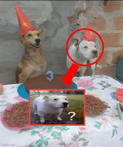 image tagged in memes,msmg,shitpost | made w/ Imgflip meme maker