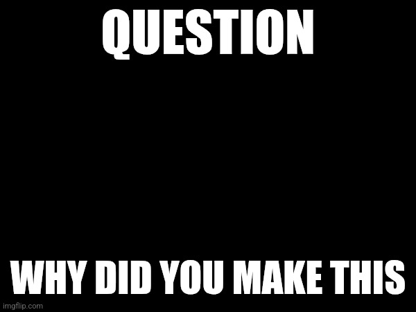 QUESTION; WHY DID YOU MAKE THIS | made w/ Imgflip meme maker