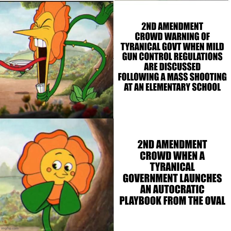 2nd Amendment Absolutists Love Tyranny | 2ND AMENDMENT CROWD WARNING OF TYRANICAL GOVT WHEN MILD GUN CONTROL REGULATIONS ARE DISCUSSED FOLLOWING A MASS SHOOTING AT AN ELEMENTARY SCHOOL; 2ND AMENDMENT CROWD WHEN A TYRANICAL GOVERNMENT LAUNCHES AN AUTOCRATIC PLAYBOOK FROM THE OVAL | image tagged in cuphead flower,second amendment,tyranny,gun control,2a,2nd amendment | made w/ Imgflip meme maker