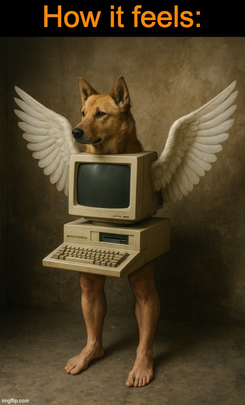 . | How it feels: | image tagged in oca monitor canina | made w/ Imgflip meme maker