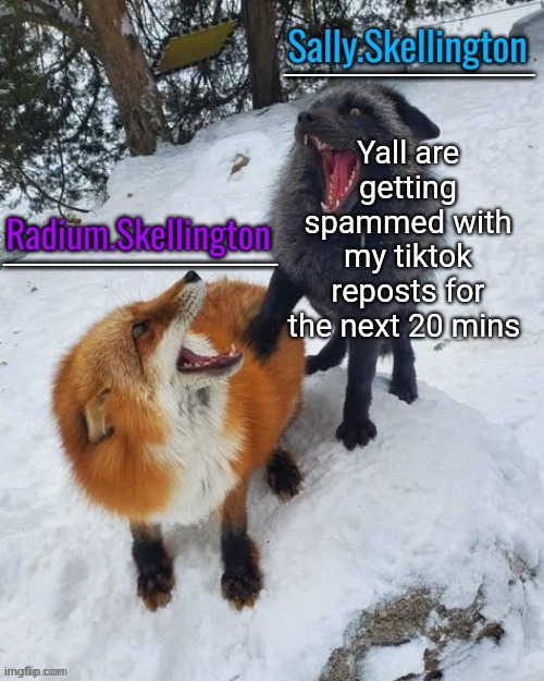 Radium and Sally temp | Yall are getting spammed with my tiktok reposts for the next 20 mins | image tagged in radium and sally temp | made w/ Imgflip meme maker