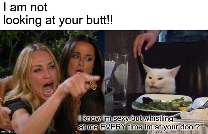 delivery ring doorbell | I am not looking at your butt!! I know im sexy but whistling at me EVERY time im at your door? | image tagged in memes,woman yelling at cat | made w/ Imgflip meme maker