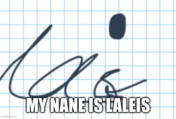 My name is laleis | MY NANE IS LALEIS | image tagged in please do not tell me i do not make any sense | made w/ Imgflip meme maker