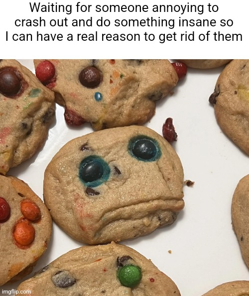 Sad cookie | Waiting for someone annoying to crash out and do something insane so I can have a real reason to get rid of them | image tagged in sad cookie | made w/ Imgflip meme maker