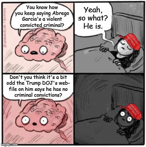 "Played for chumps... again." *OR* "Polly want a cracker?" | Yeah, so what? He is. You know how you keep saying Abrego Garcia's a violent convicted criminal? Don't you think it's a bit
odd the Trump DOJ's web-
file on him says he has no
criminal convictions? | image tagged in cultists,iq,too damn low,parrot,zero due diligence | made w/ Imgflip meme maker