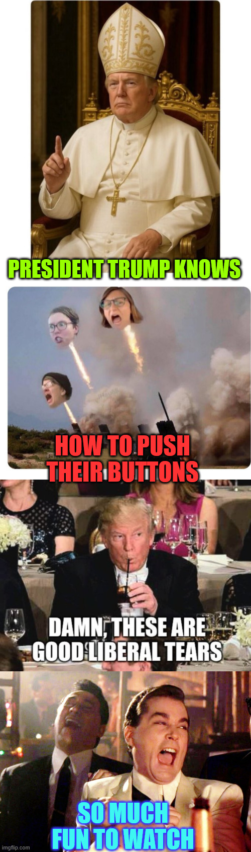 It's all they live for... the next big thing they can throw a tantrum over... | PRESIDENT TRUMP KNOWS; HOW TO PUSH THEIR BUTTONS; SO MUCH FUN TO WATCH | image tagged in memes,good fellas hilarious,trump trolls libs again,classic | made w/ Imgflip meme maker