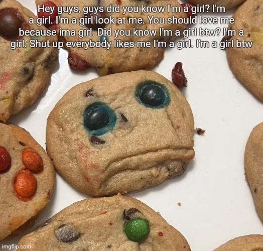 Sad cookie | Hey guys, guys did you know I'm a girl? I'm a girl. I'm a girl look at me. You should love me because ima girl. Did you know I'm a girl btw? I'm a girl. Shut up everybody likes me I'm a girl. I'm a girl btw | image tagged in sad cookie | made w/ Imgflip meme maker