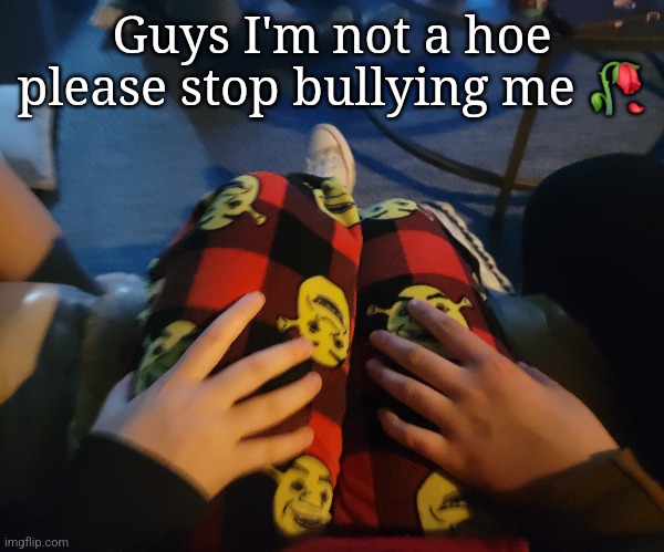 Guys I'm not a hoe please stop bullying me 🥀 | made w/ Imgflip meme maker