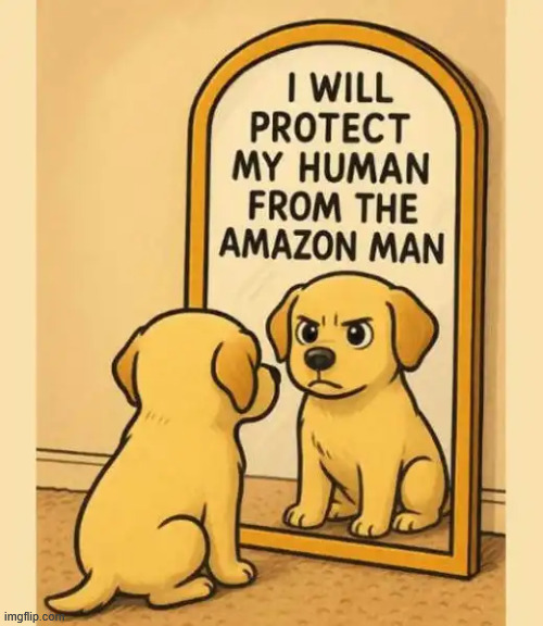 Guard dog | image tagged in repost,guard dog | made w/ Imgflip meme maker