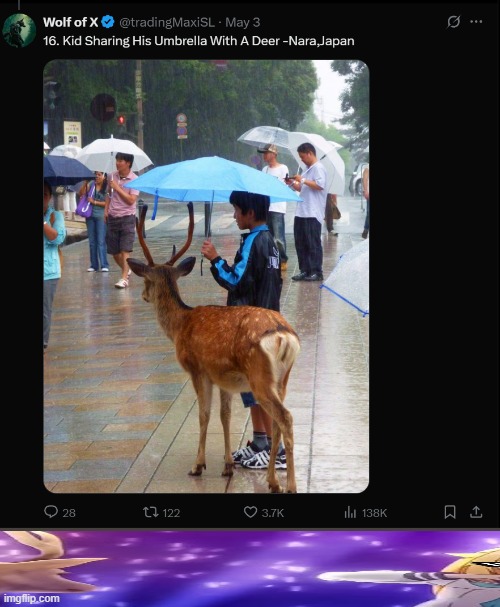 deer friend | image tagged in deer | made w/ Imgflip meme maker