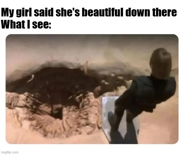Not Beautiful | My girl said she's beautiful down there
What I see: | image tagged in sex jokes | made w/ Imgflip meme maker