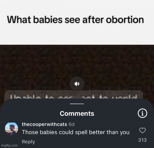 made w/ Imgflip meme maker