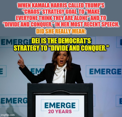 Did She Really Mean: | WHEN KAMALA HARRIS CALLED TRUMP’S “CHAOS” STRATEGY GOAL  TO "MAKE EVERYONE THINK THEY ARE ALONE” AND TO “DIVIDE AND CONQUER,” IN HER MOST RECENT SPEECH. DID SHE REALLY MEAN:; DEI IS THE DEMOCRAT'S STRATEGY TO "DIVIDE AND CONQUER." | image tagged in memes,politics,kamala harris,speech,did you mean,opposite | made w/ Imgflip meme maker
