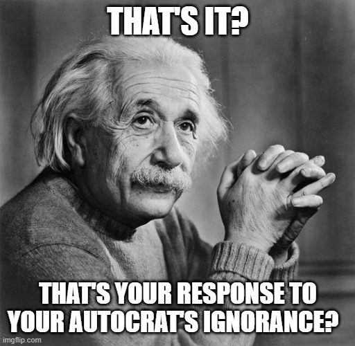 Einstein | THAT'S IT? THAT'S YOUR RESPONSE TO YOUR AUTOCRAT'S IGNORANCE? | image tagged in einstein | made w/ Imgflip meme maker