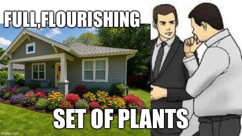 Car Salesman Slaps Roof Of Car Meme | FULL,FLOURISHING; SET OF PLANTS | image tagged in memes,car salesman slaps roof of car | made w/ Imgflip meme maker